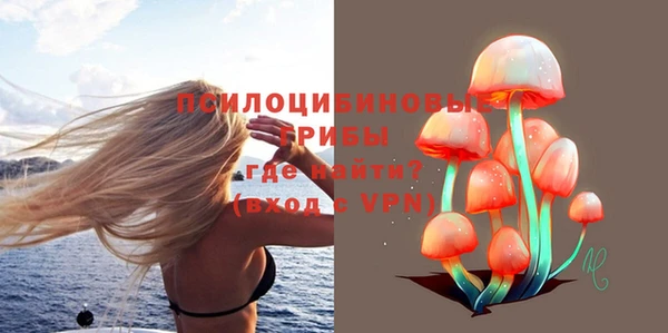spice Армянск